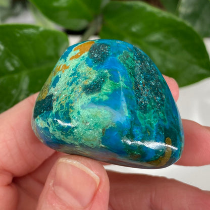 Chrysocolla Stone