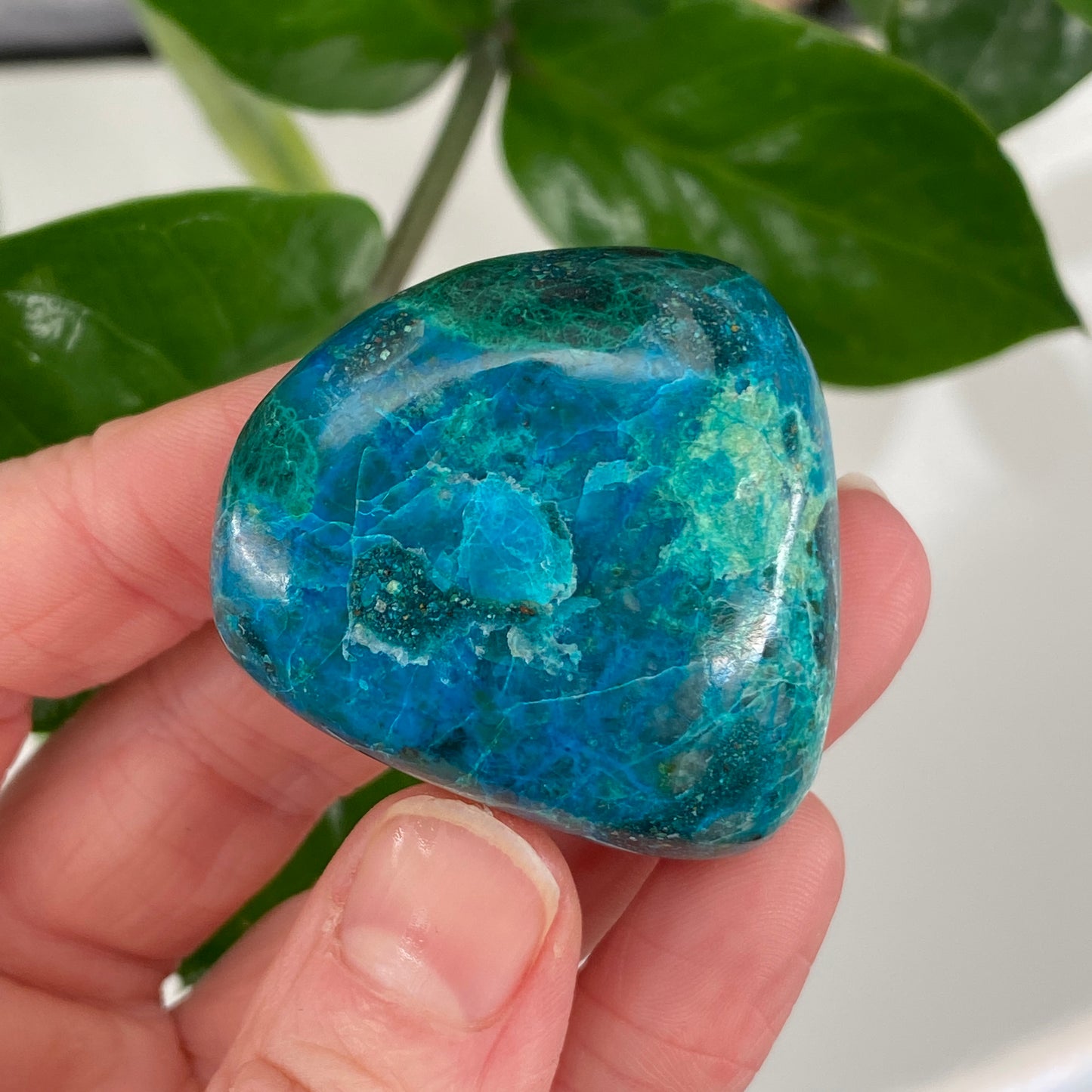 Chrysocolla Stone