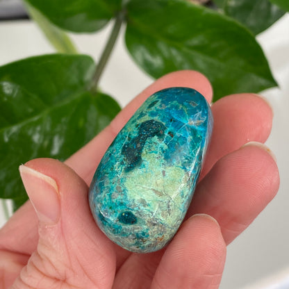 Chrysocolla Stone