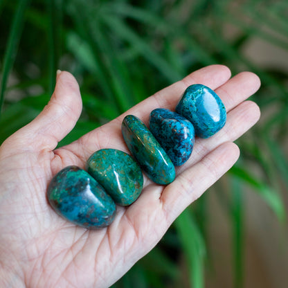 Chrysocolla Stone