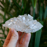 Corinto Quartz Cluster