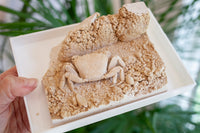 3D Fossilized Crab in Habitat from Southwest Turkey, Rare