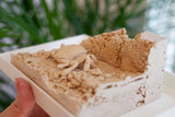 3D Fossilized Crab in Habitat from Southwest Turkey, Rare