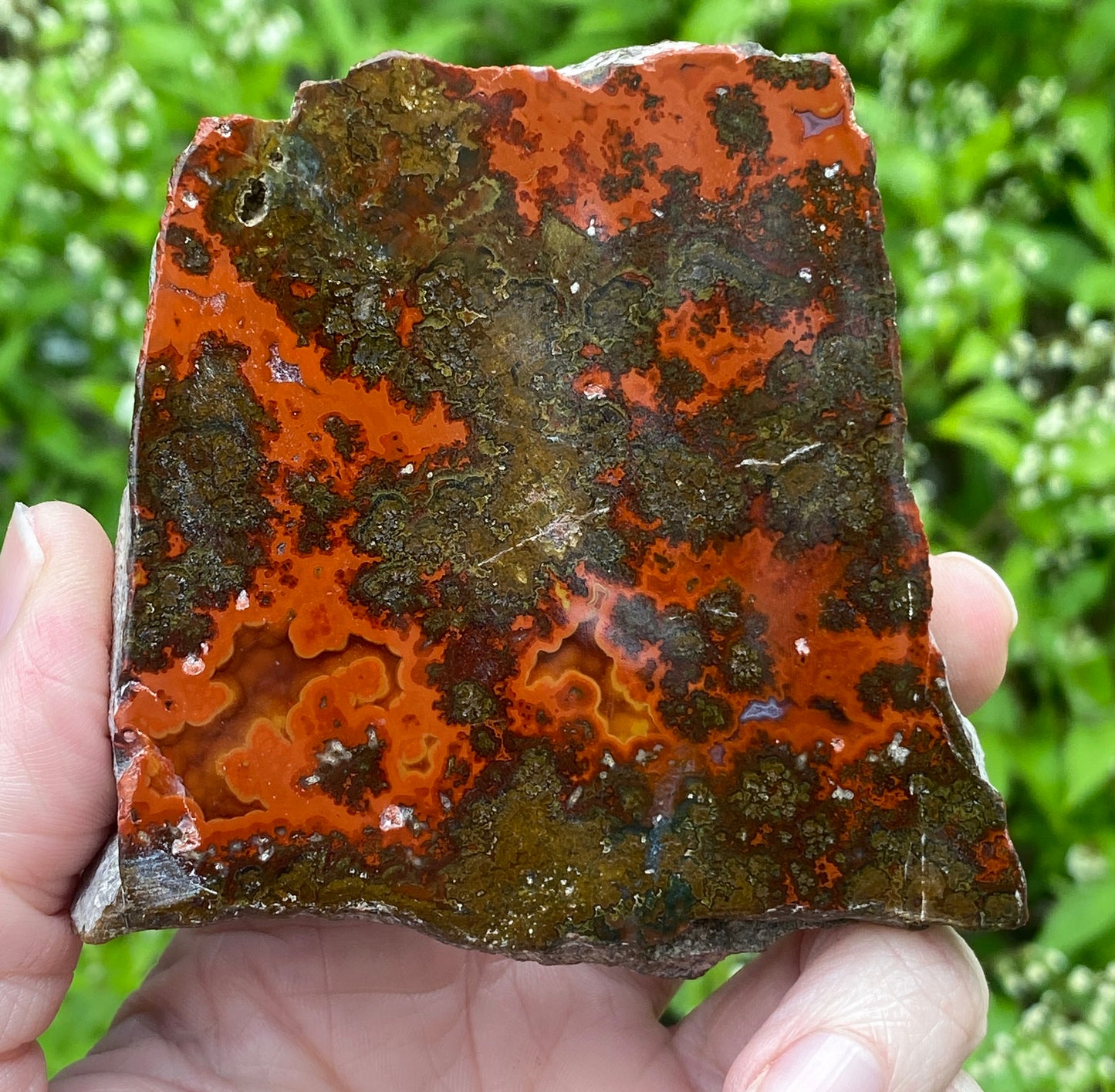 Kerrouchen Agate Slab, Cruentous Agate