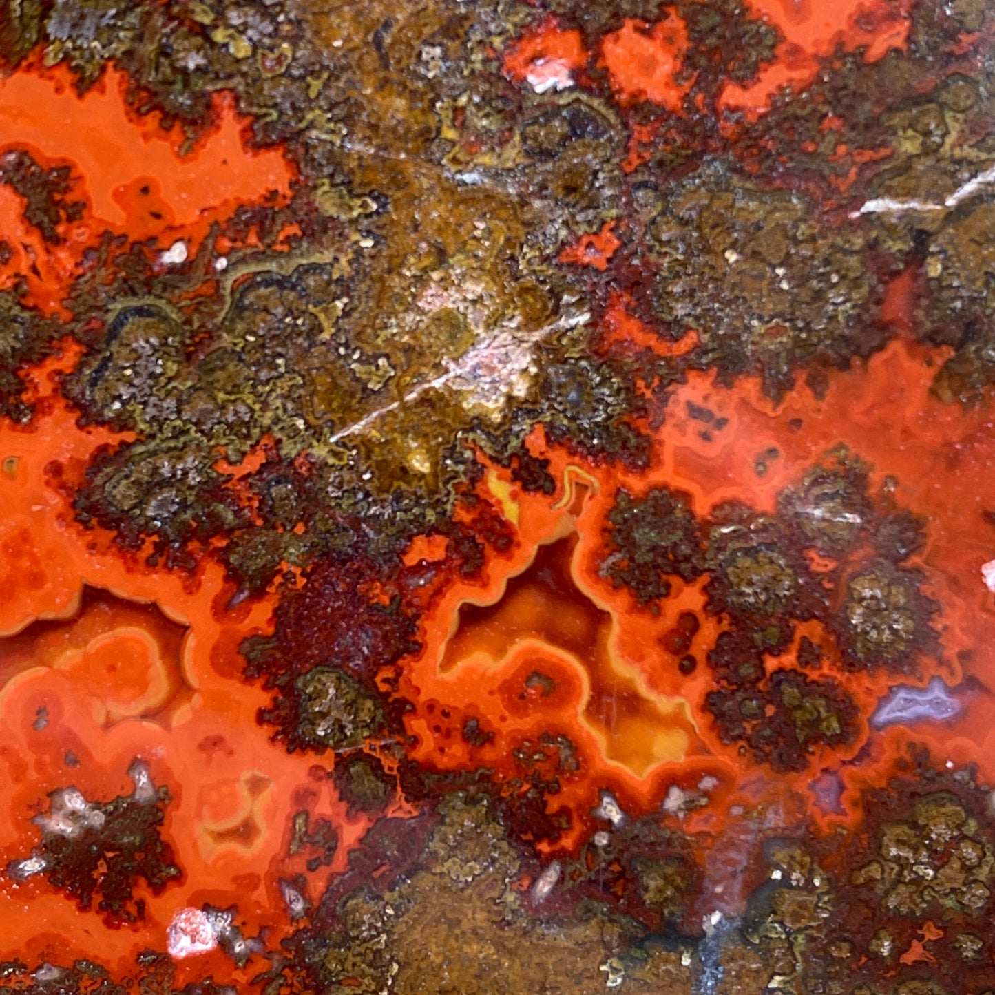 Kerrouchen Agate Slab, Cruentous Agate