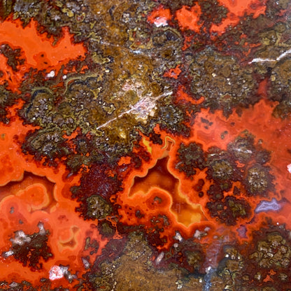 Kerrouchen Agate Slab, Cruentous Agate