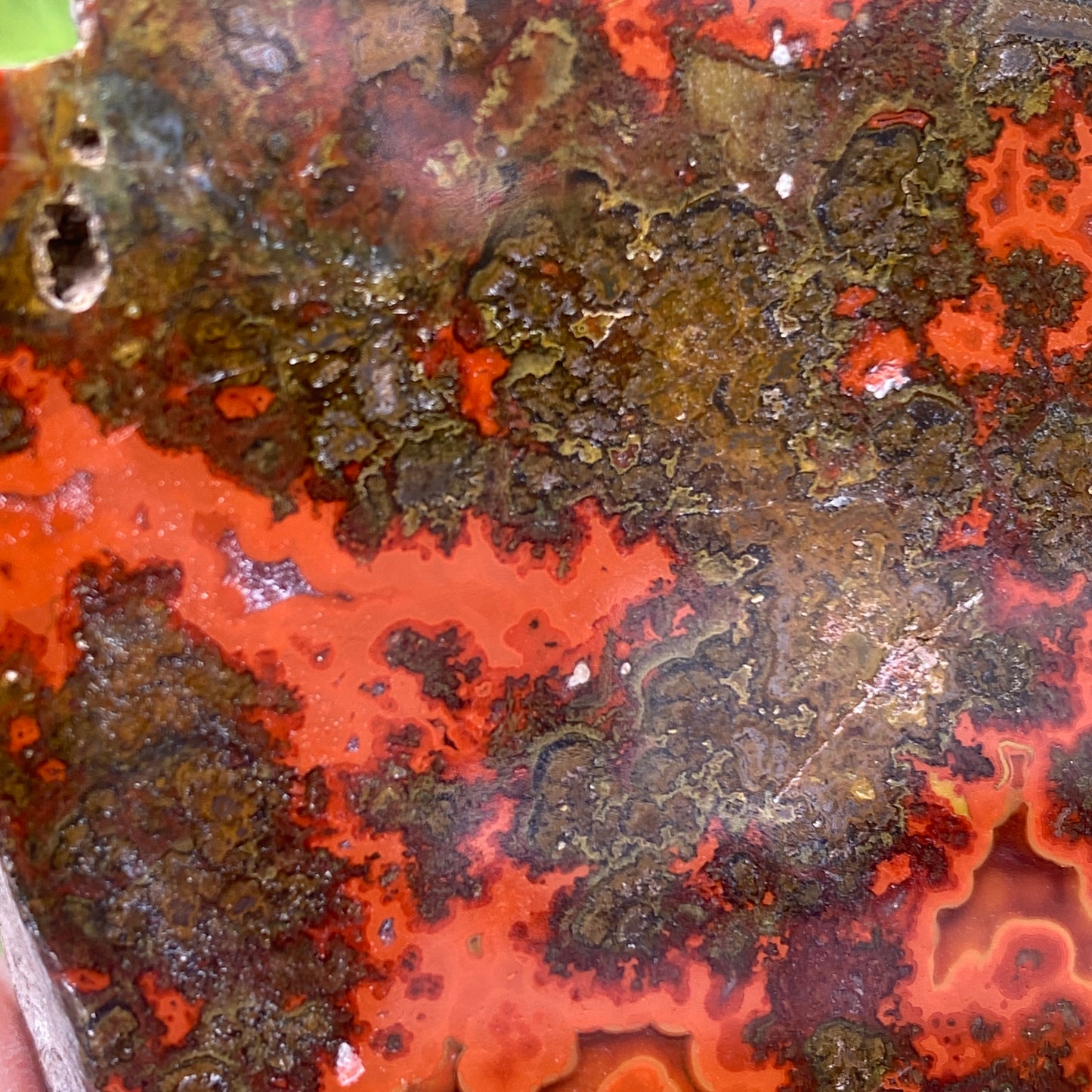 Kerrouchen Agate Slab, Cruentous Agate