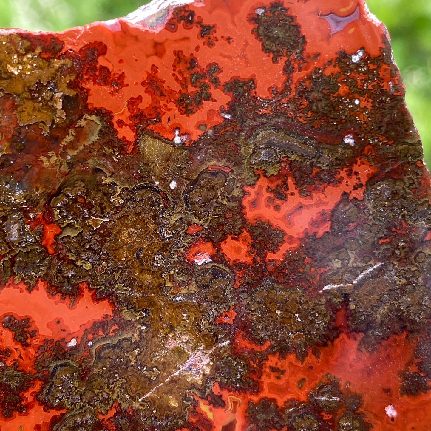 Kerrouchen Agate Slab, Cruentous Agate
