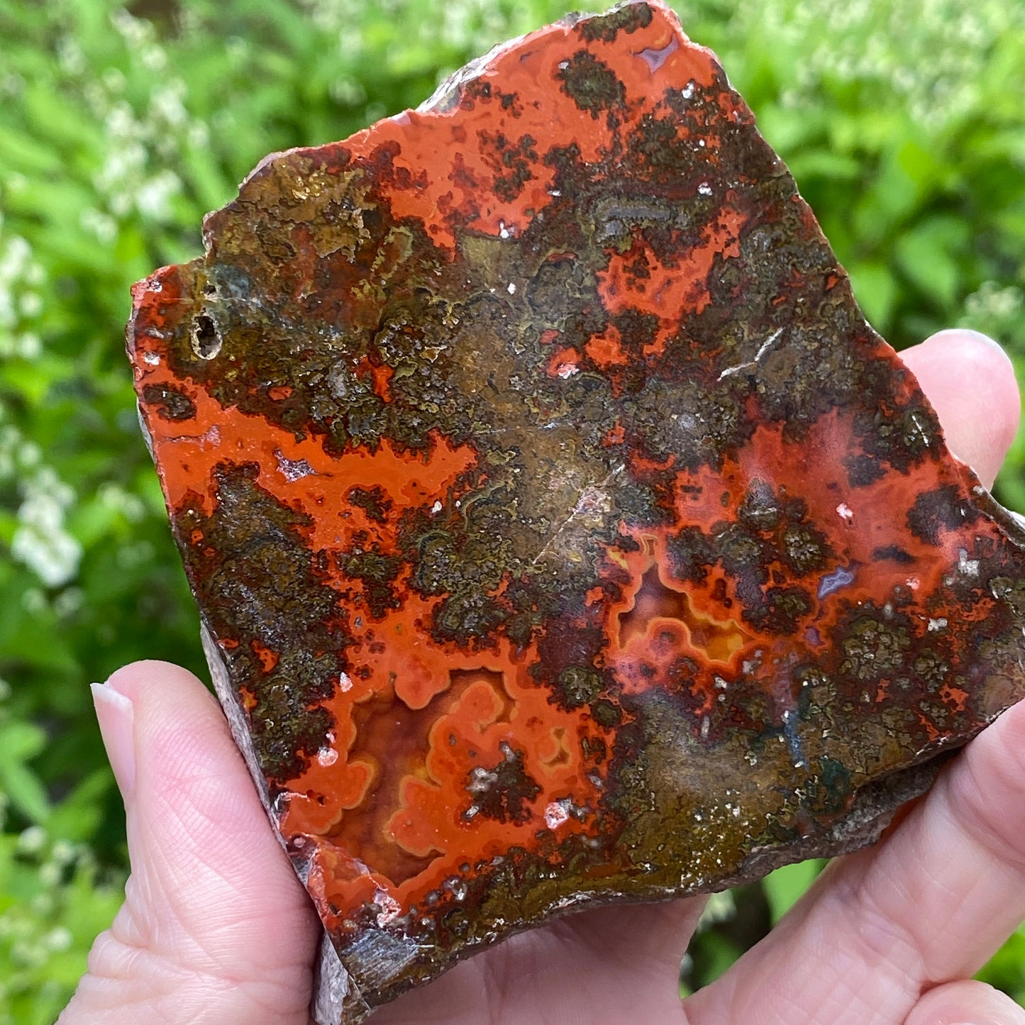 Kerrouchen Agate Slab, Cruentous Agate