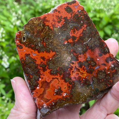 Kerrouchen Agate Slab, Cruentous Agate