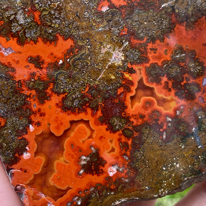 Kerrouchen Agate Slab, Cruentous Agate