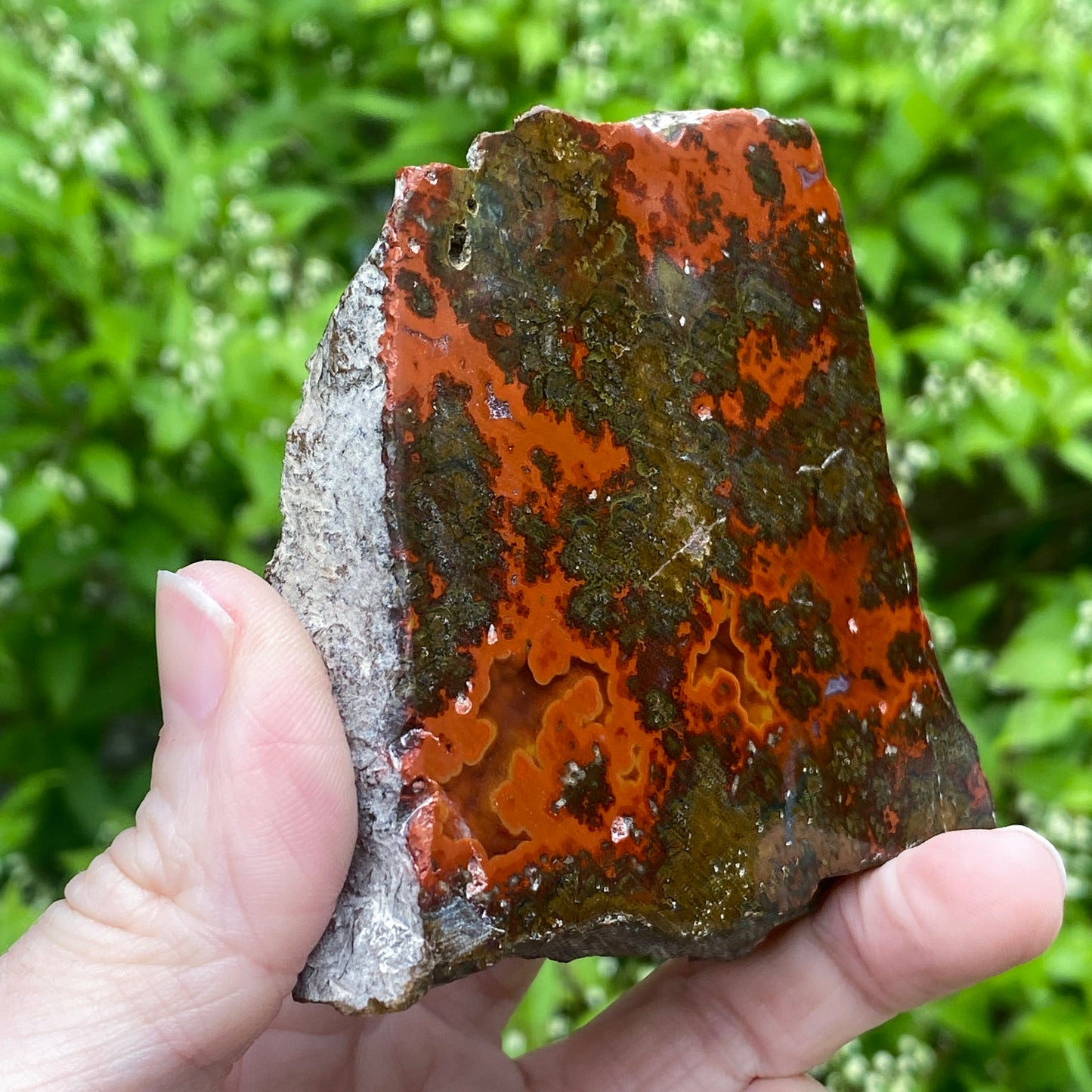 Kerrouchen Agate Slab, Cruentous Agate