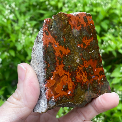 Kerrouchen Agate Slab, Cruentous Agate
