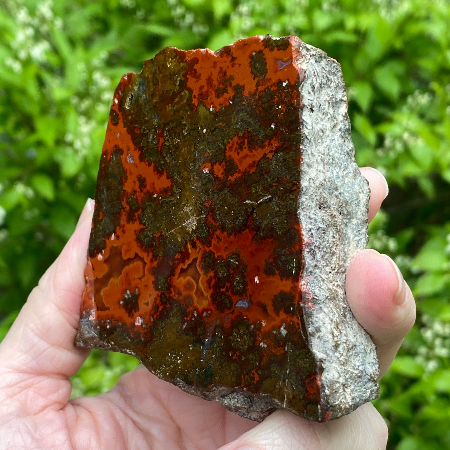 Kerrouchen Agate Slab, Cruentous Agate