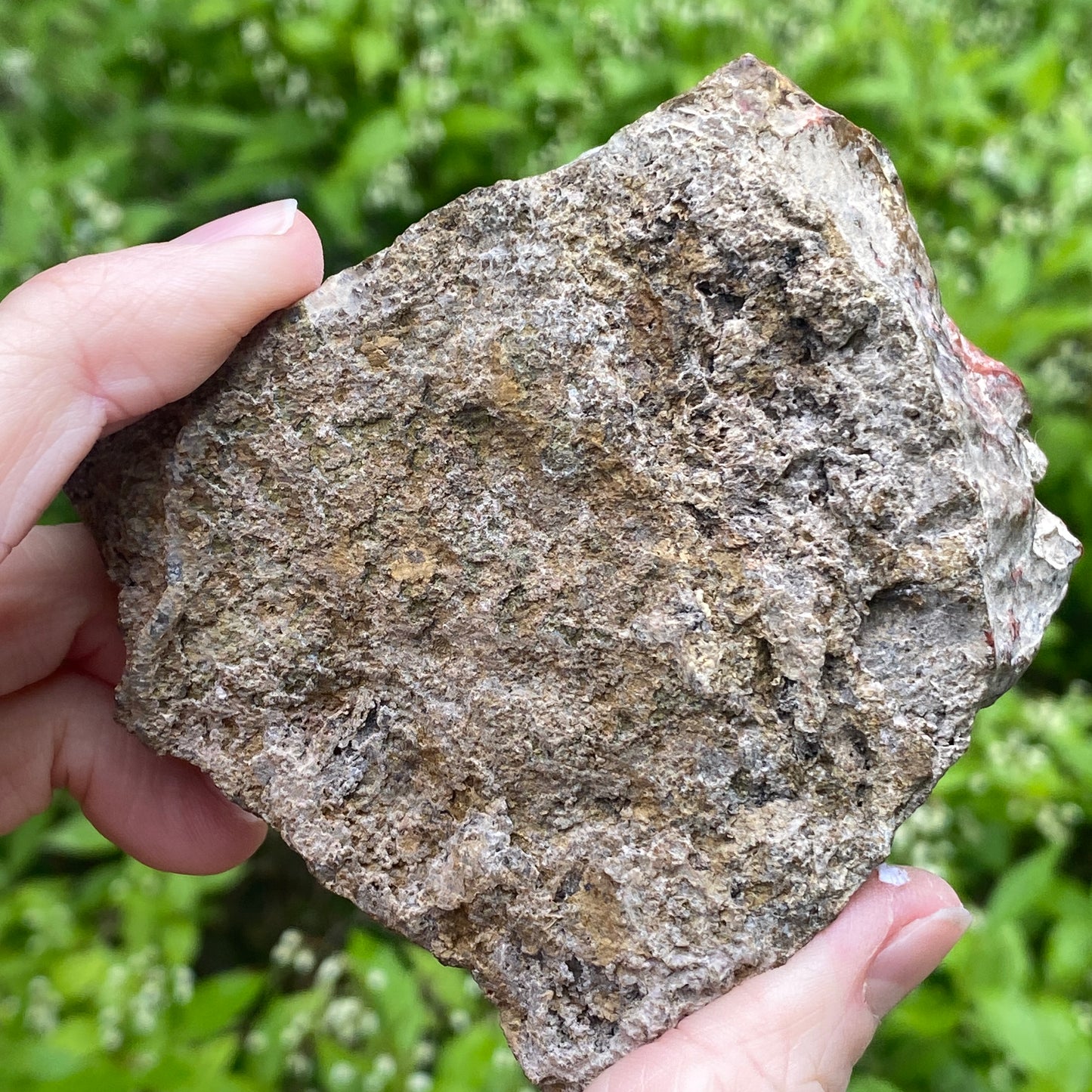 Kerrouchen Agate Slab, Cruentous Agate