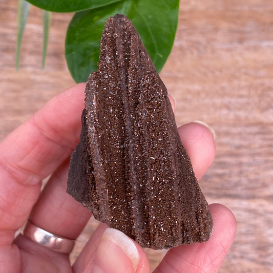 Crystalized Wood Fossil, Germany
