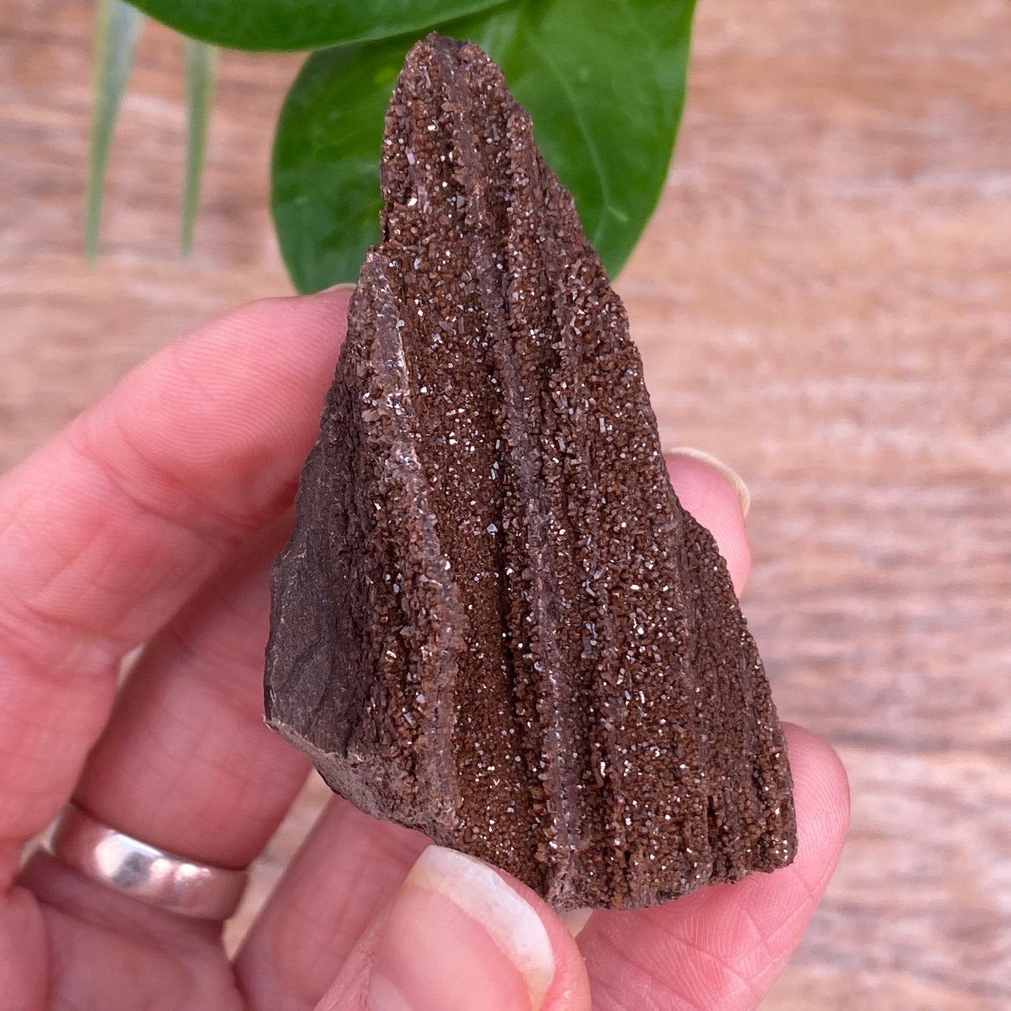 Crystalized Wood Fossil, Germany