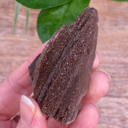 Crystalized Wood Fossil, Germany