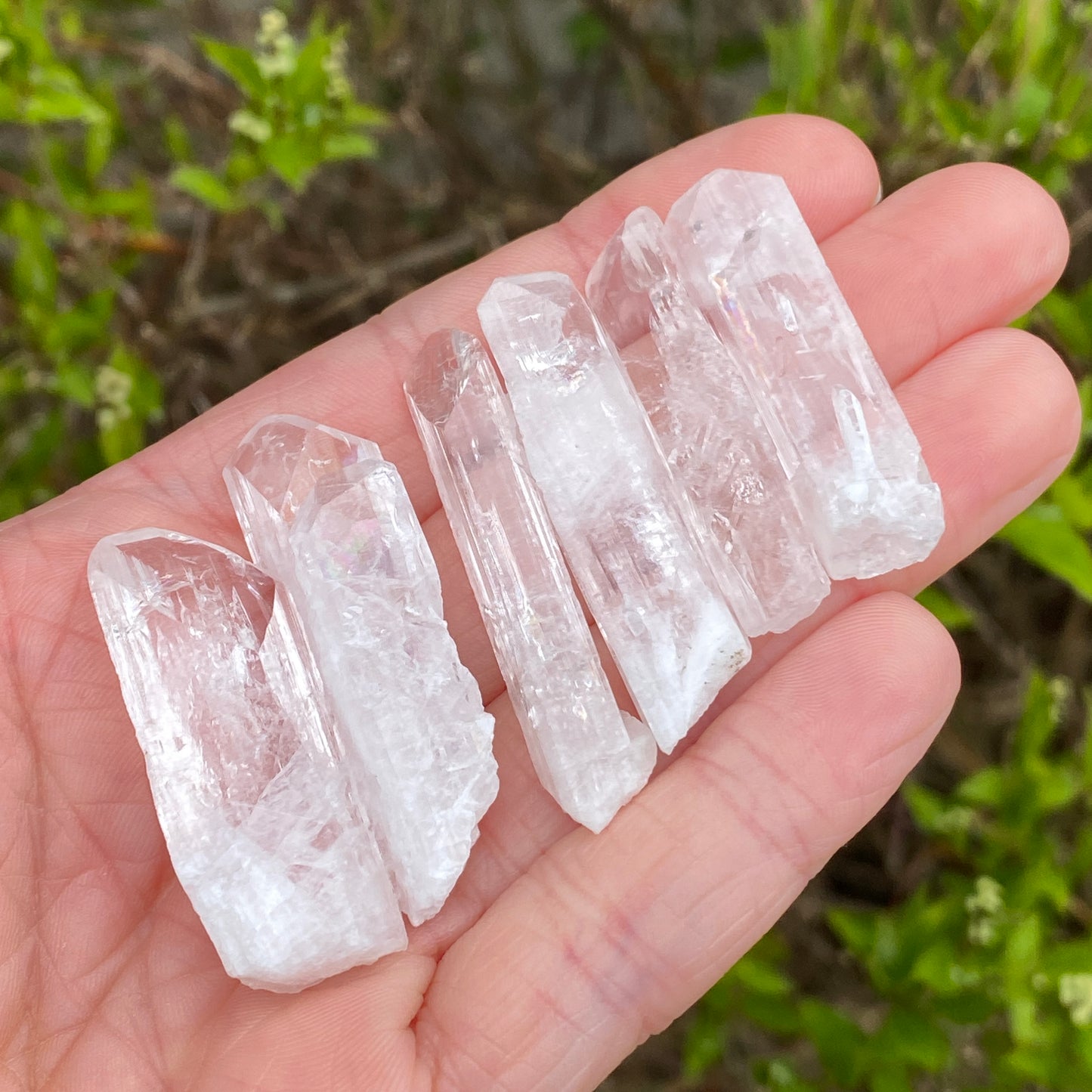 Danburite Crystal