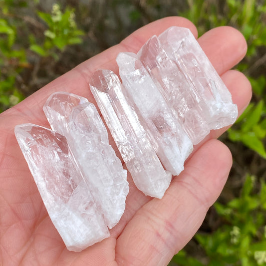 Danburite Crystal