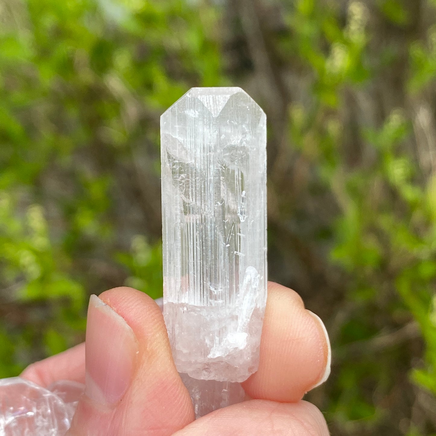 Danburite Crystal