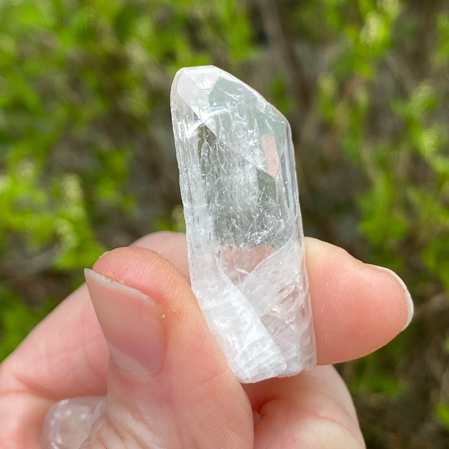 Danburite Crystal