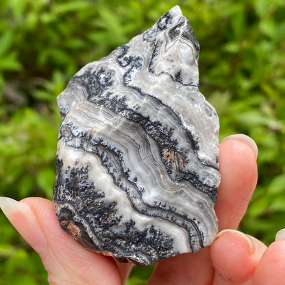 Dendritic Calcite Specimen