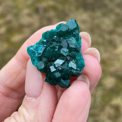 Dioptase Crystal Specimen