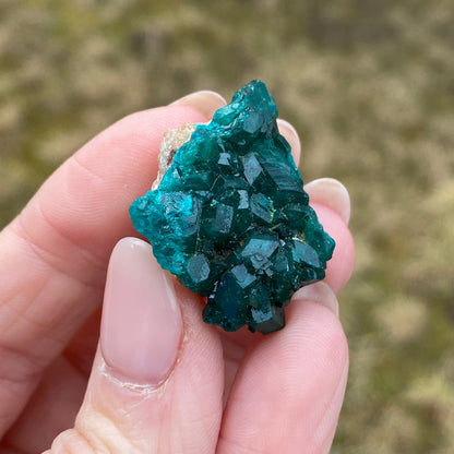 Dioptase Crystal Specimen