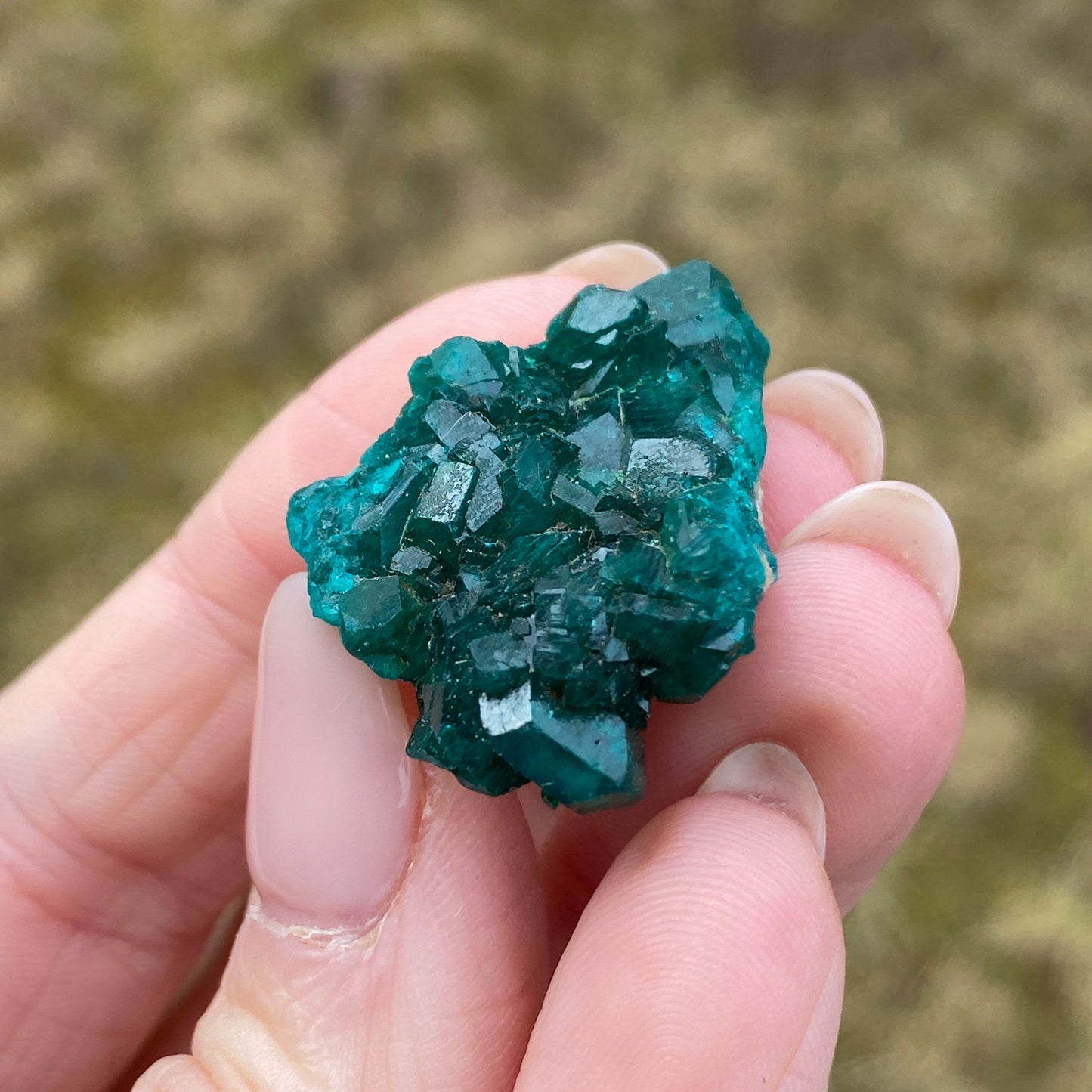 Dioptase Crystal Specimen