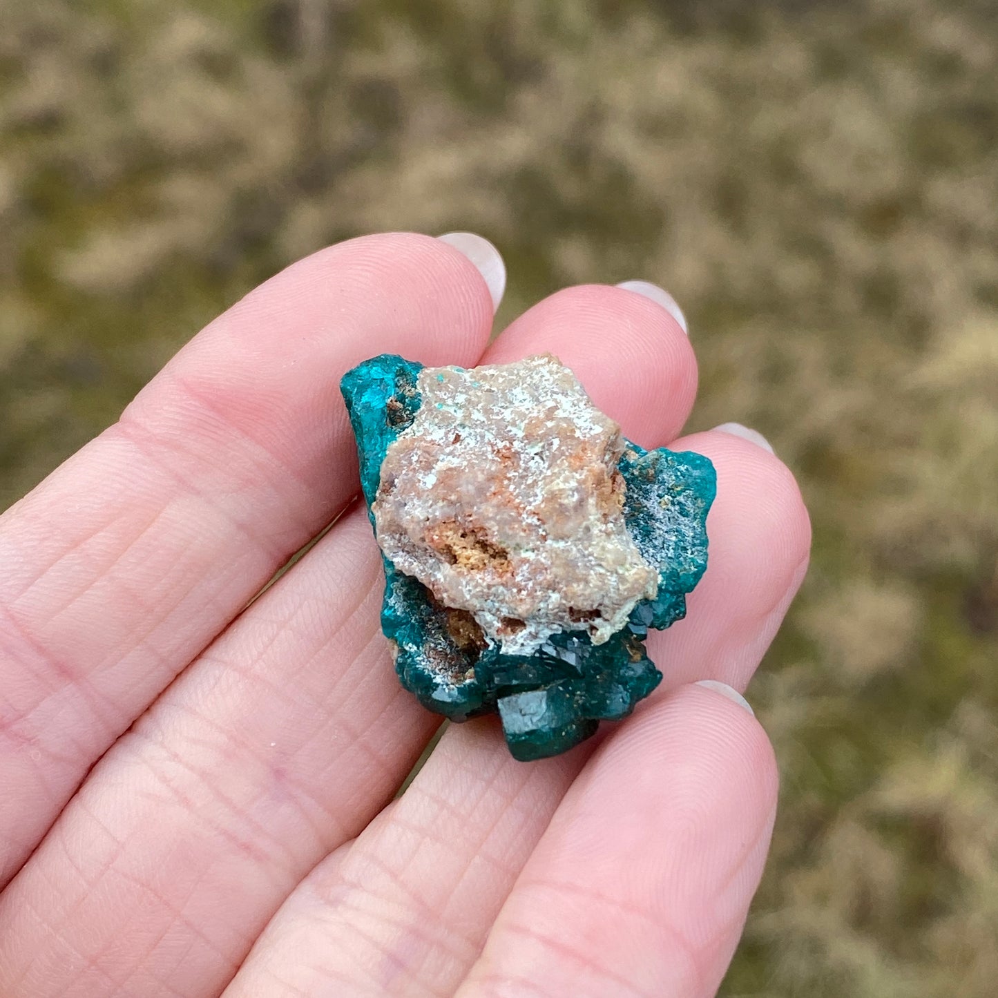 Dioptase Crystal Specimen