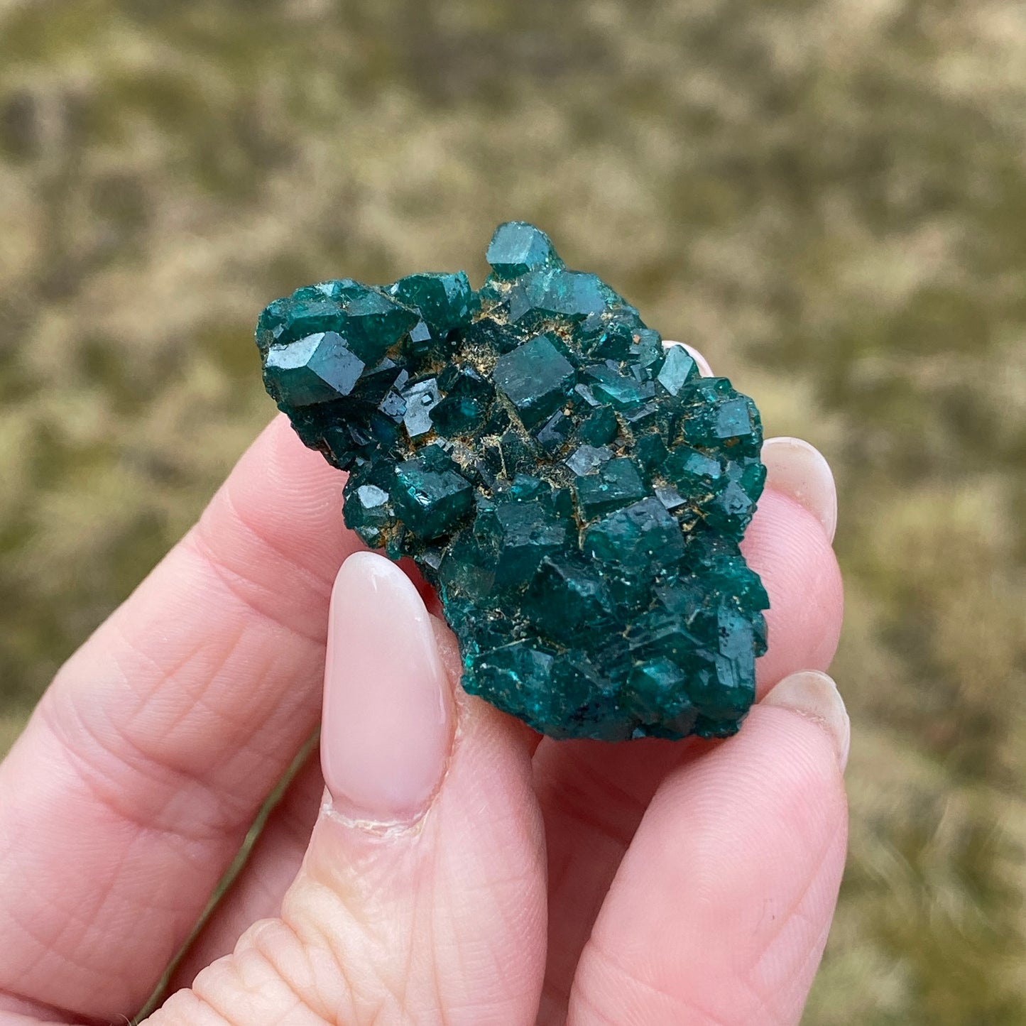 Dioptase Crystal Specimen