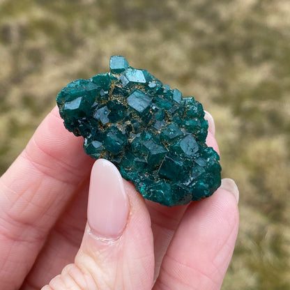 Dioptase Crystal Specimen