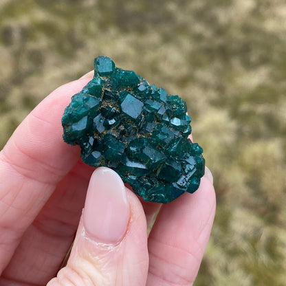 Dioptase Crystal Specimen