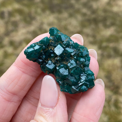 Dioptase Crystal Specimen