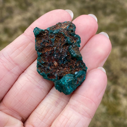 Dioptase Crystal Specimen