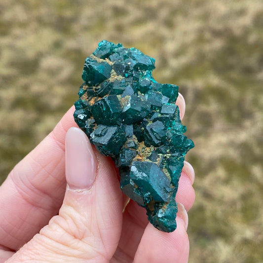 Dioptase Crystal Specimen