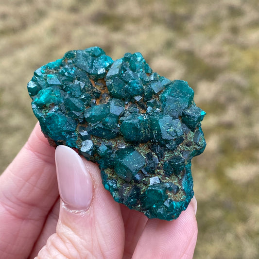 Dioptase Crystal Specimen