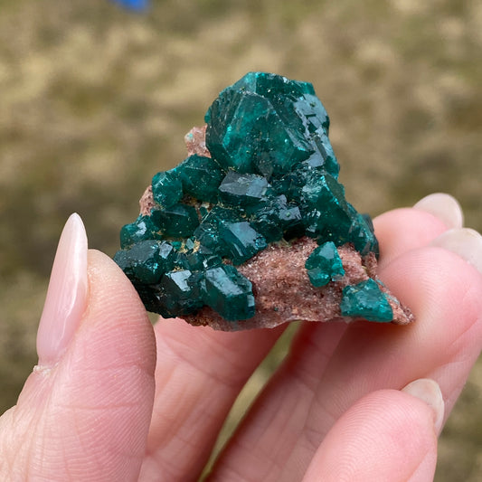 Dioptase Crystal Specimen