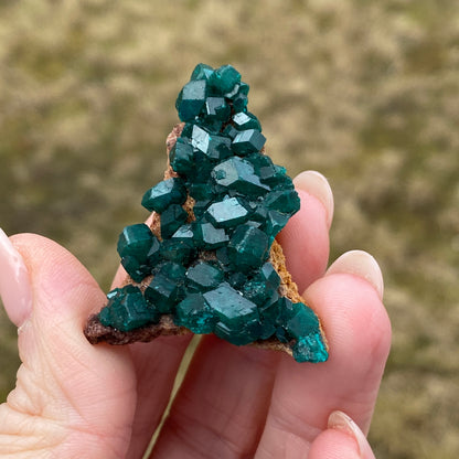 Dioptase Crystal Specimen