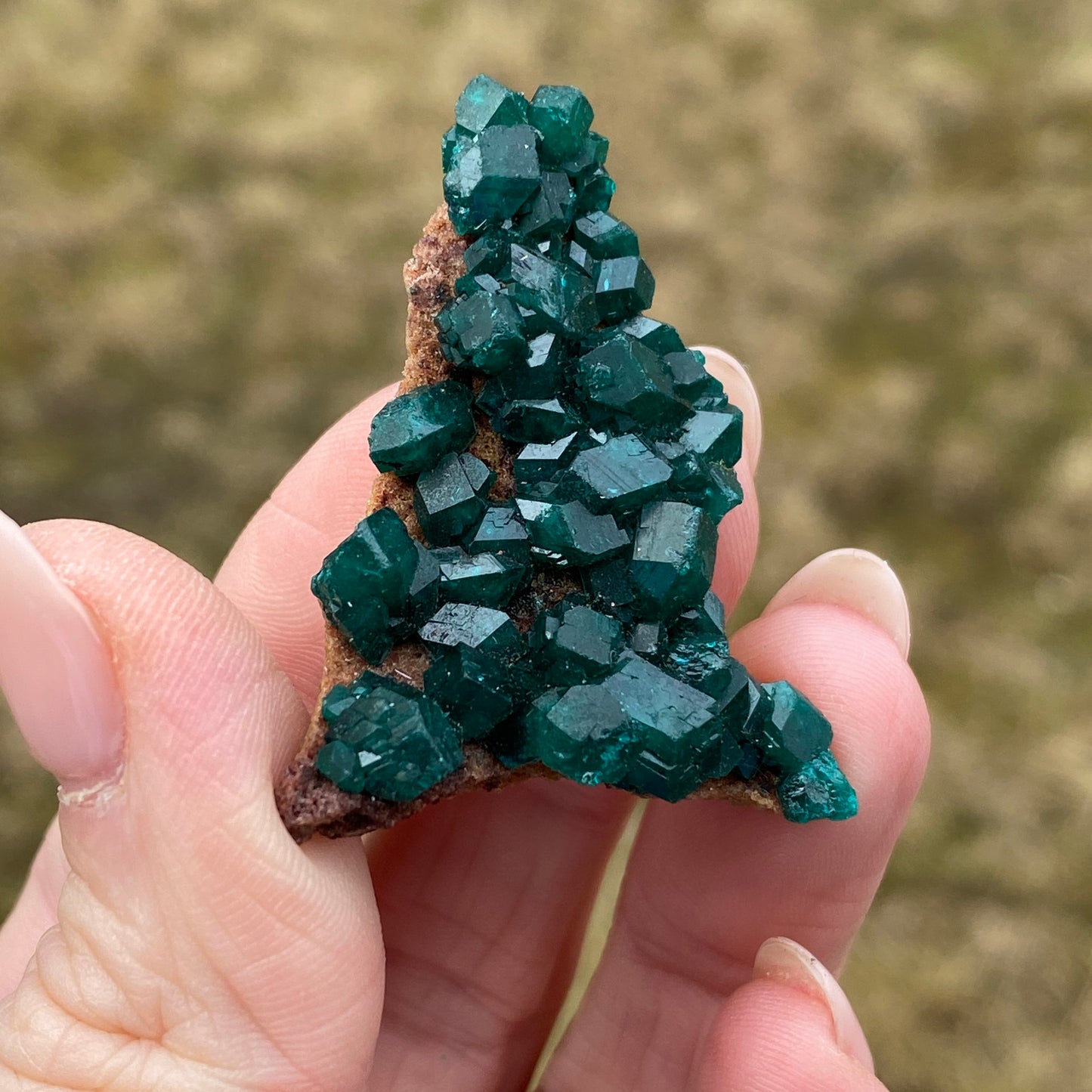 Dioptase Crystal Specimen