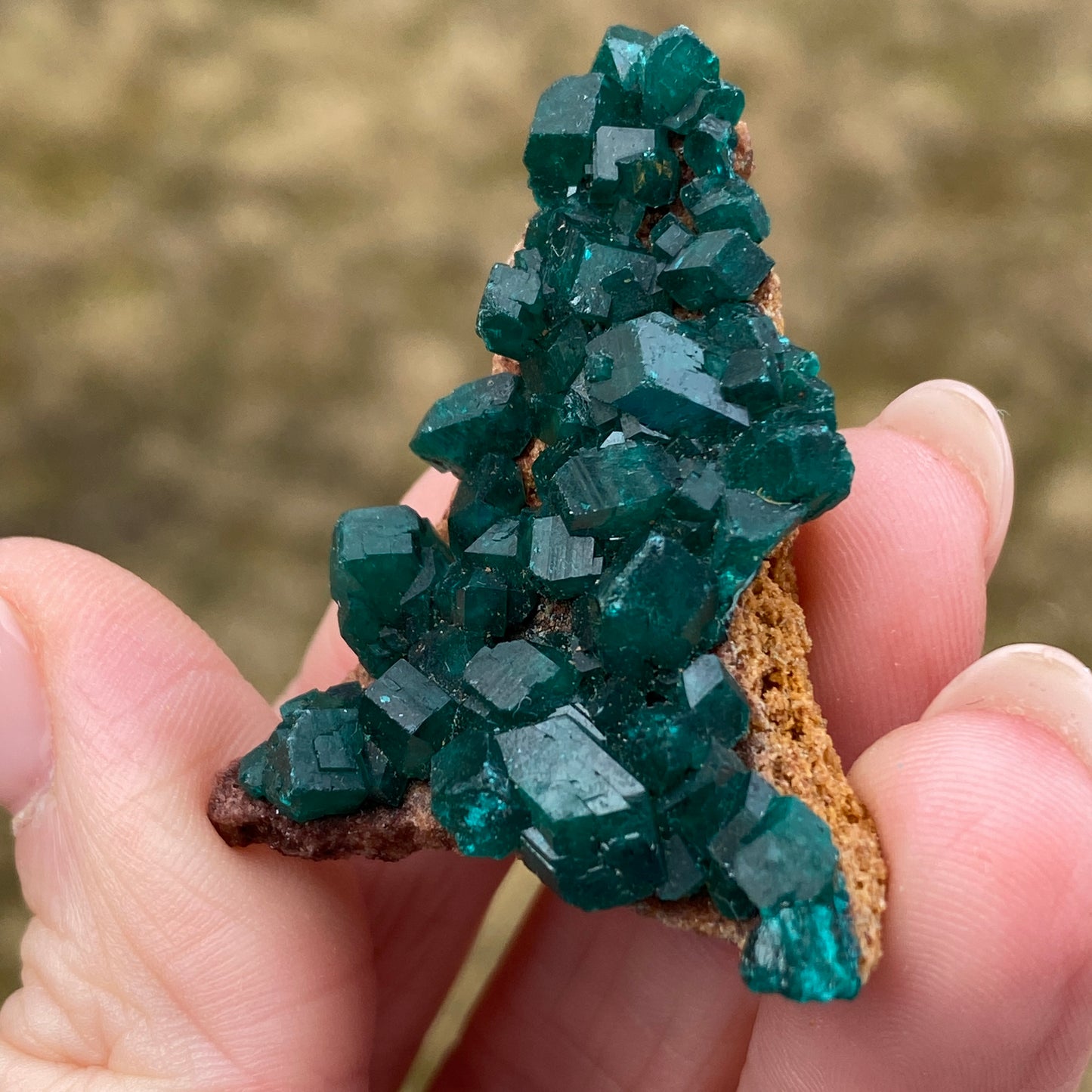 Dioptase Crystal Specimen