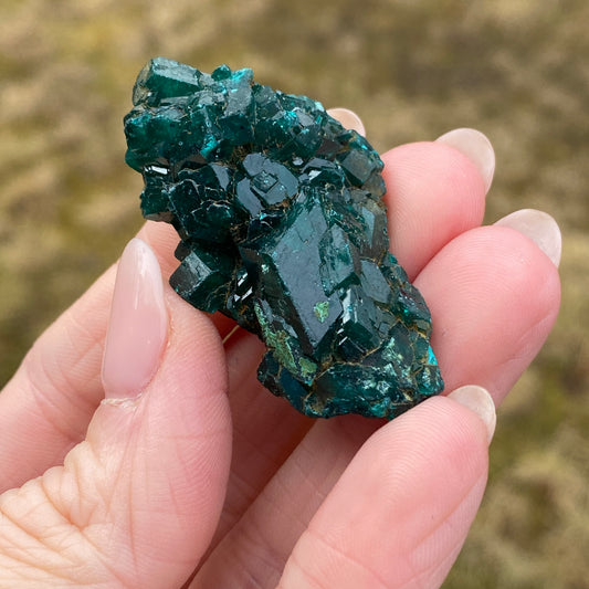 Dioptase Crystal Specimen