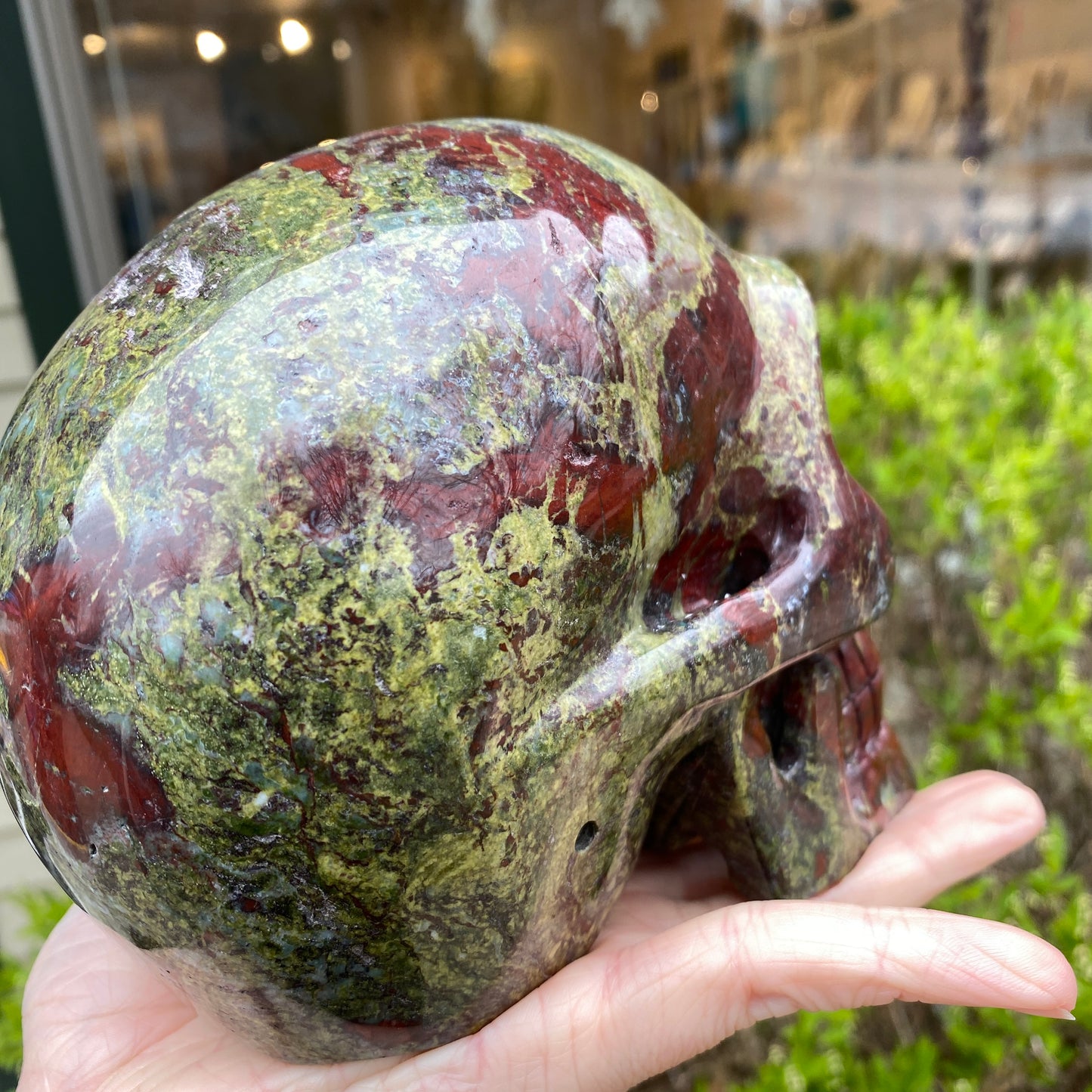 Dragon's Blood Skull, Large, 6in