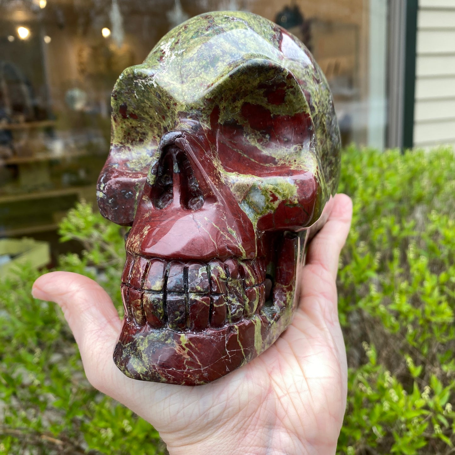 Dragon's Blood Skull, Large, 6in