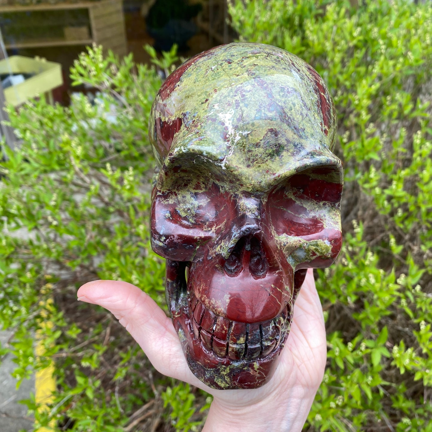 Dragon's Blood Skull, Large, 6in