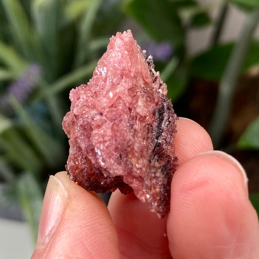Edenite, tanzania