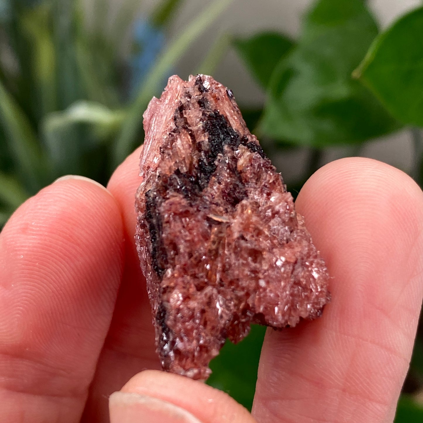 Edenite, tanzania