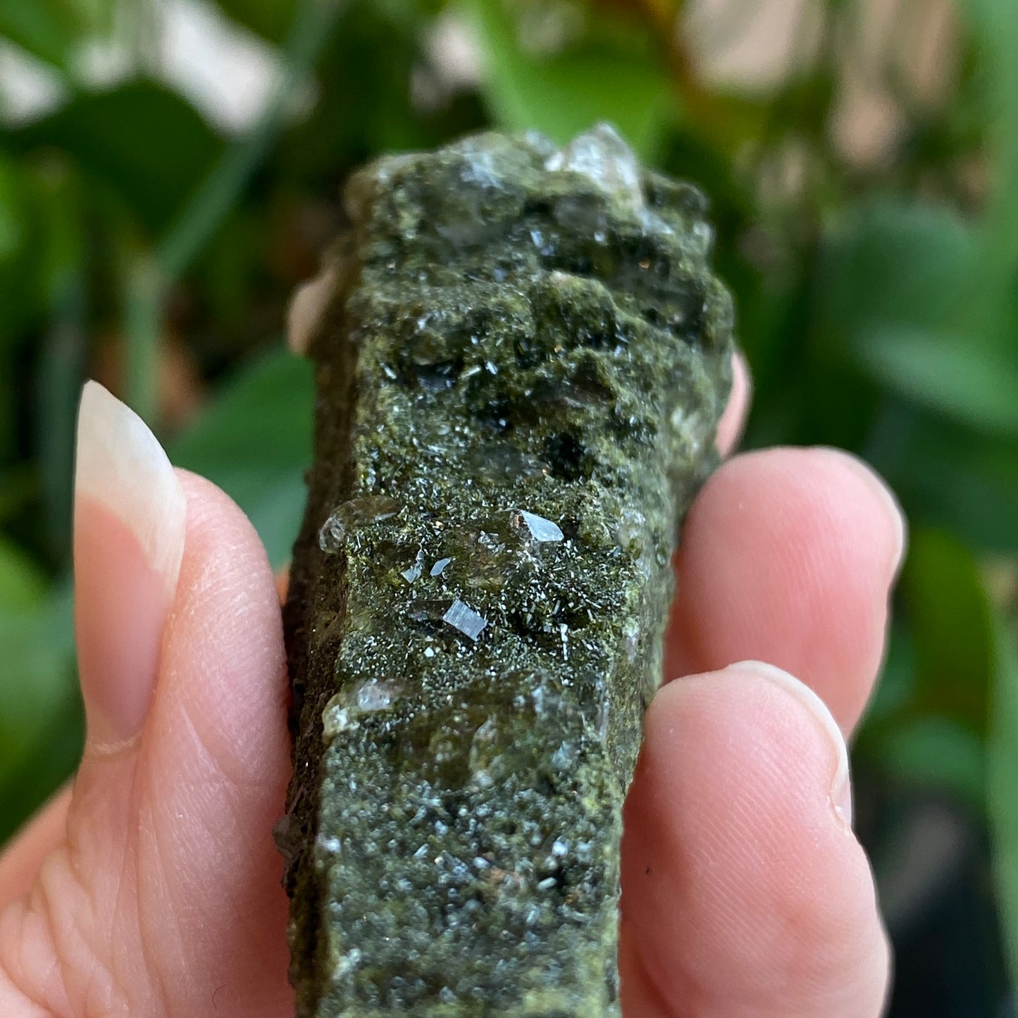 Epidote on Quartz, Turkey, New Deposit