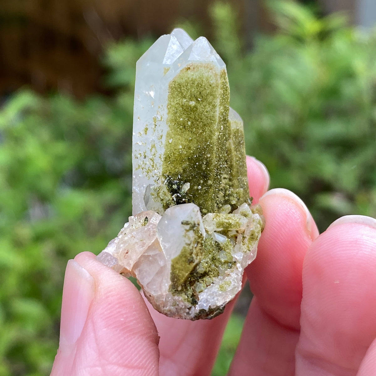Lime Epidote on Quartz, Turkey